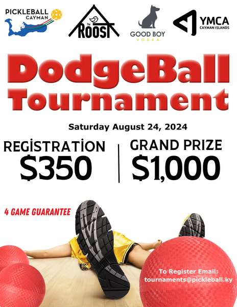 Dodgeball Tournament Registration $350